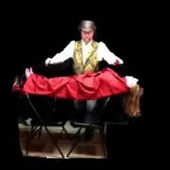 Chair Suspension By Timco Magic