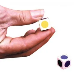 ENCHANTED COLOR CUBE