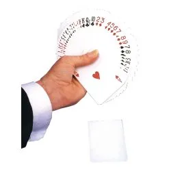 BLANK BACK FACE ONLY BRIDGE DK