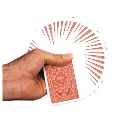 DOUBLE BACK DECK ENARDOE