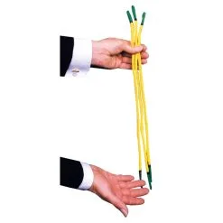 PROFESSORS NIGHTMARE